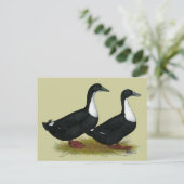 Zweedse eenden Black Briefkaart (Staand voorkant)