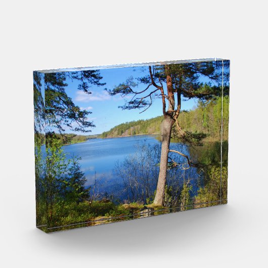 Zweedse fjord fotoblokken (Links)