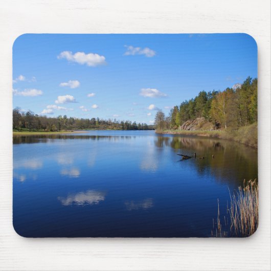 Zweedse fjord muismat (Voorkant)