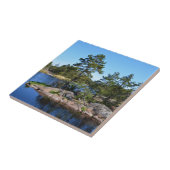 Zweedse landskap tegeltje (Zijkant)