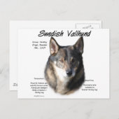 Zweedse Vallhund Geschiedenis Briefkaart (Voorkant / Achterkant)