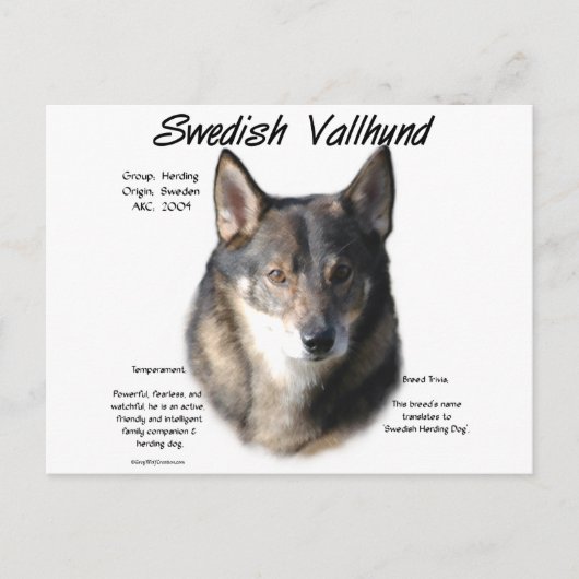 Zweedse Vallhund Geschiedenis Briefkaart (Voorkant)