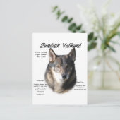 Zweedse Vallhund Geschiedenis Briefkaart (Staand voorkant)