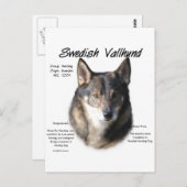 Zweedse Vallhund Geschiedenis Briefkaart (Voorkant / Achterkant)