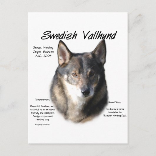 Zweedse Vallhund Geschiedenis Briefkaart (Voorkant)