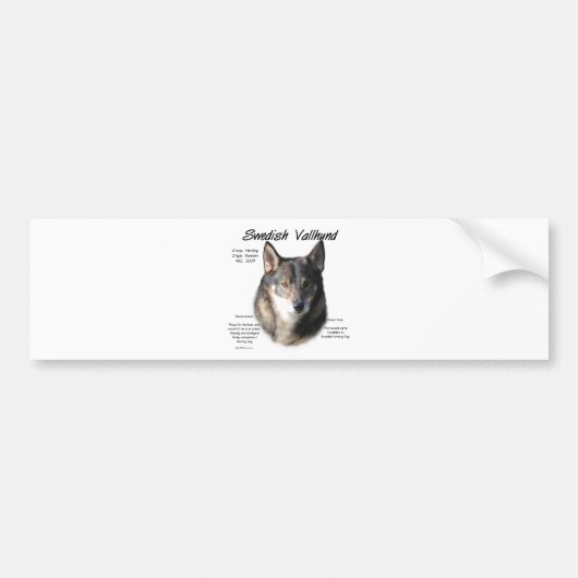 Zweedse Vallhund Geschiedenis Bumpersticker (Voorkant)