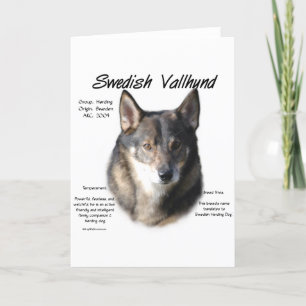Zweedse Vallhund Geschiedenis Feestdagen Kaart