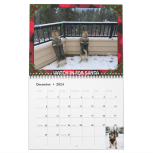 Zweedse Vallhund kalender