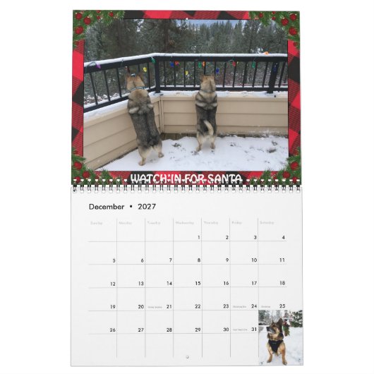 Zweedse Vallhund kalender (Dec 2027)
