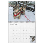 Zweedse Vallhund kalender (Jan 2027)