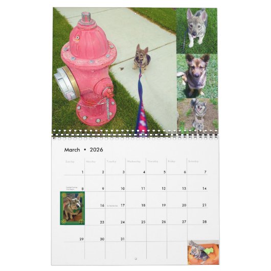 Zweedse Vallhund kalender (Mar 2026)