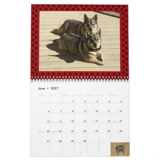 Zweedse Vallhund Kalender 2024* (Jun 2027)