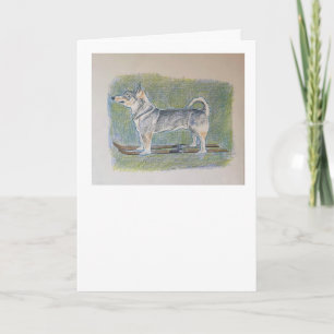 Zweedse Vallhund Verjaardagskaart Kaart