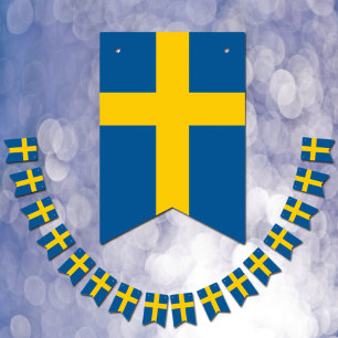 Zweedse vlag en Zweedse partij Banners/bruiloften Vlaggetjes
