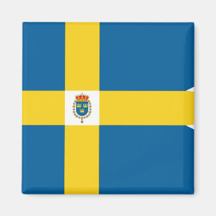 Zweedse vlag magneet