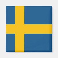 Zweedse vlag Zweden