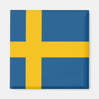 Zweedse vlag Zweden Magneet
