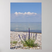 Zweedse zomerdruk poster (Voorkant)