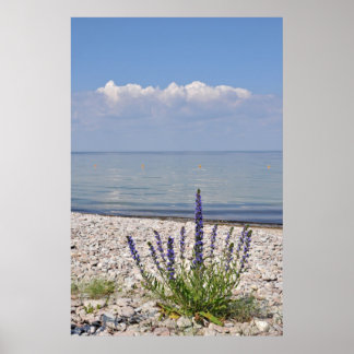 Zweedse zomerdruk poster