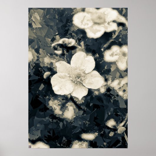 Zweedsige Anemoon Bloem Botanische Kunst Poster (Voorkant)