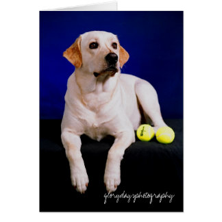 zweefstudio, glorydayfotografie