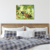 Zweefvlieg Canvasprint Canvas Afdruk (Insitu (Slaapkamer))