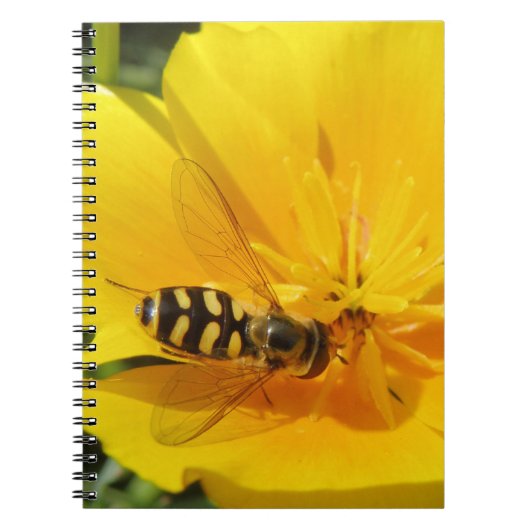 Zweefvlieg en Bloem Notitieboek (Voorkant)