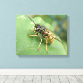 Zweefvlieg Macro Canvas Print (Insitu (Houten vloer))