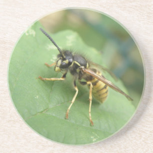 Zweefvlieg Macro Onderzetters