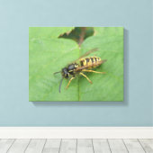Zweefvlieg op een blad Canvasprint Canvas Afdruk (Insitu (Houten vloer))