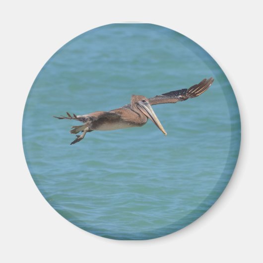 zweefvliegende pelikaan magneet (Voorkant)