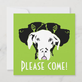 Zweet Great Dane gezichten | Doggenhaus Kaart