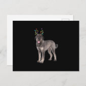 zweet van de grote schnauzer reinherder - kersthon aankondigingskaart (Voorkant / Achterkant)