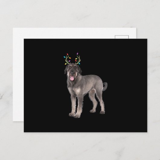 zweet van de grote schnauzer reinherder - kersthon aankondigingskaart (Voorkant / Achterkant)