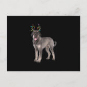 zweet van de grote schnauzer reinherder - kersthon aankondigingskaart (Voorkant)