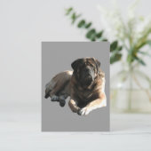 Zwei englische Doggen Mastiff im Urlaub Briefkaart (Staand voorkant)