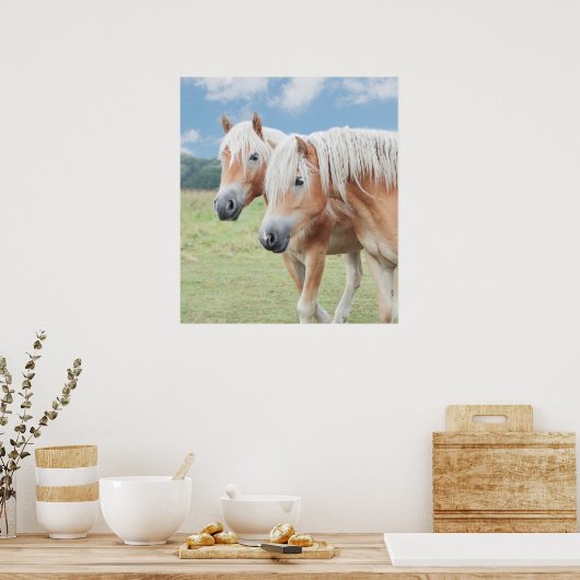 zwei Haflinger Poster (Keuken)