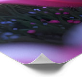 Zwei kleine süße Ponys Poster (Hoek)