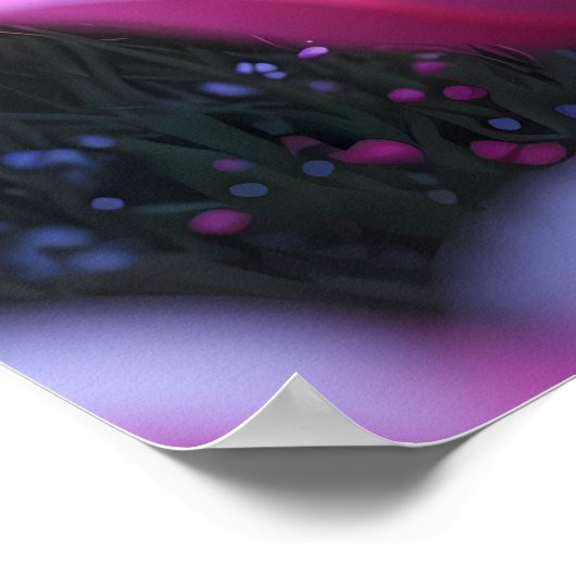 Zwei kleine süße Ponys Poster (Hoek)