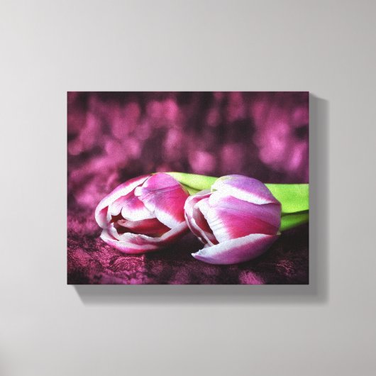 Zwei rosa Tulpen Canvas Afdruk (Voorkant)