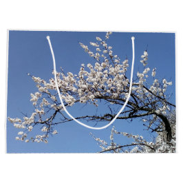 Zweig der Kirschblüte Groot Cadeauzakje