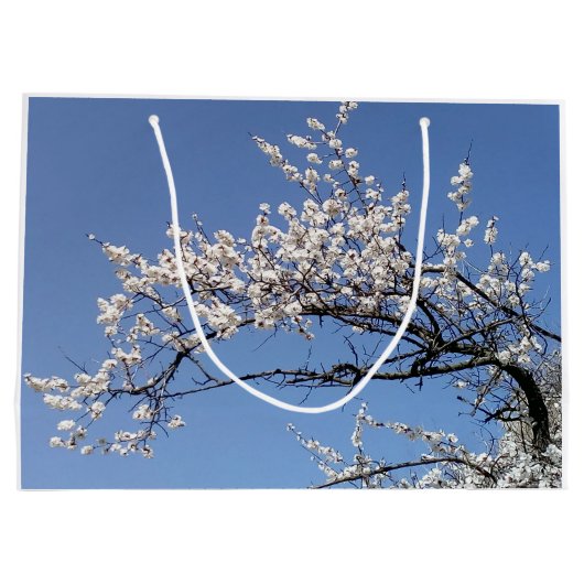 Zweig der Kirschblüte Groot Cadeauzakje (Achterkant)