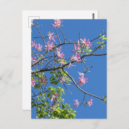 Zweig mit Blumen Briefkaart (Voorkant / Achterkant)