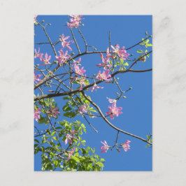 Zweig mit Blumen Briefkaart