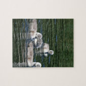 Zwem Vrienden Legpuzzel (Horizontaal)