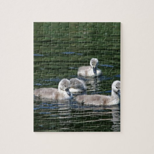 Zwem Vrienden Legpuzzel (Verticaal)