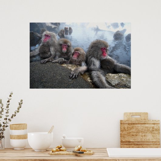 Zwemapen Poster (Keuken)