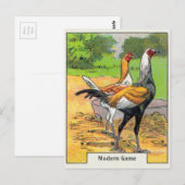  zwembad briefkaart (Voorkant / Achterkant)