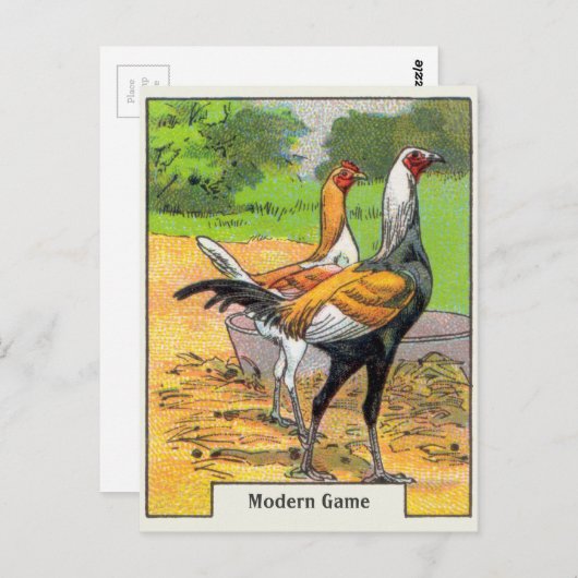  zwembad briefkaart (Voorkant / Achterkant)