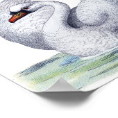 zwembad Poster (Hoek)